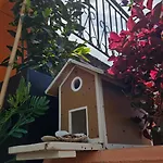 Mexicana Pink