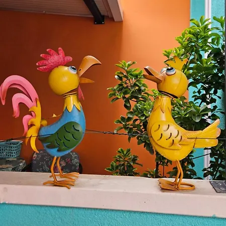 Lägenhet Mexicana Pink