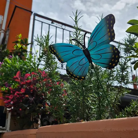 Mexicana Pink Lägenhet Zadar