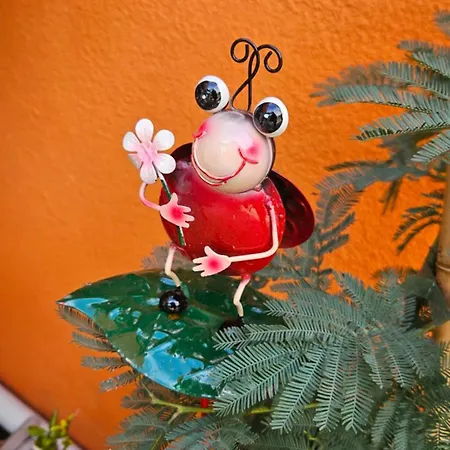 Mexicana Pink Lägenhet