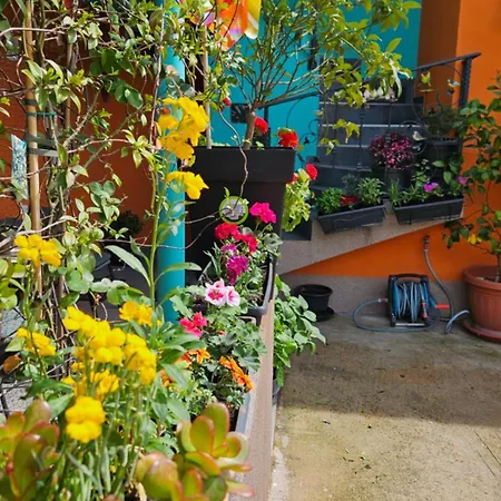 Mexicana Pink דירה זאדאר