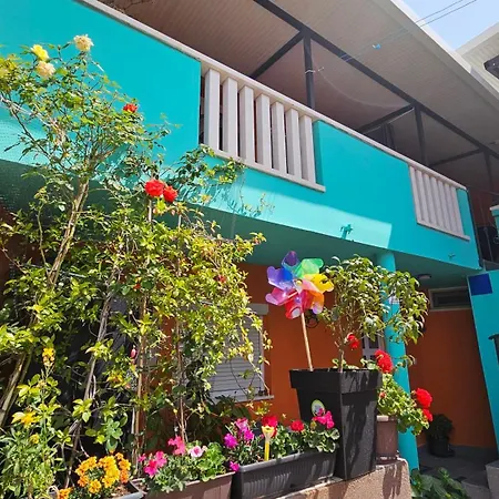 Mexicana Pink Задар