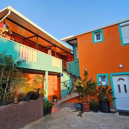 Mexicana Pink * Задар