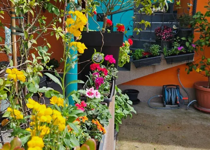 Mexicana Pink Lejlighed Zadar