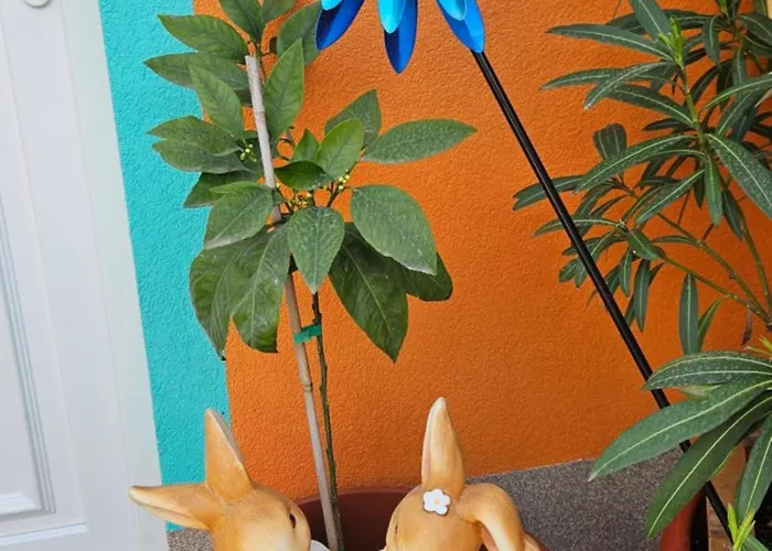 Lejlighed Mexicana Pink *