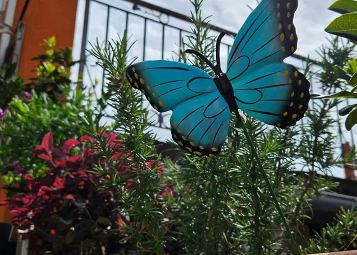 Mexicana Pink Διαμέρισμα Ζαντάρ