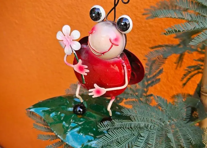 Mexicana Pink Lejlighed